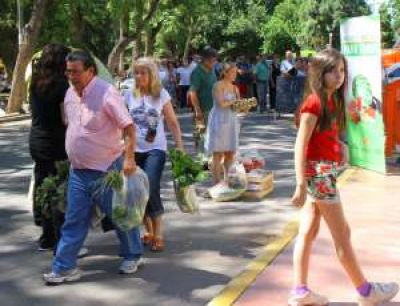 Har�n en Rawson una feria agroindustrial econ�mica