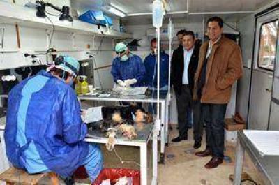  Quir�fano m�vil realiz� m�s de 2 mil esterilizaciones