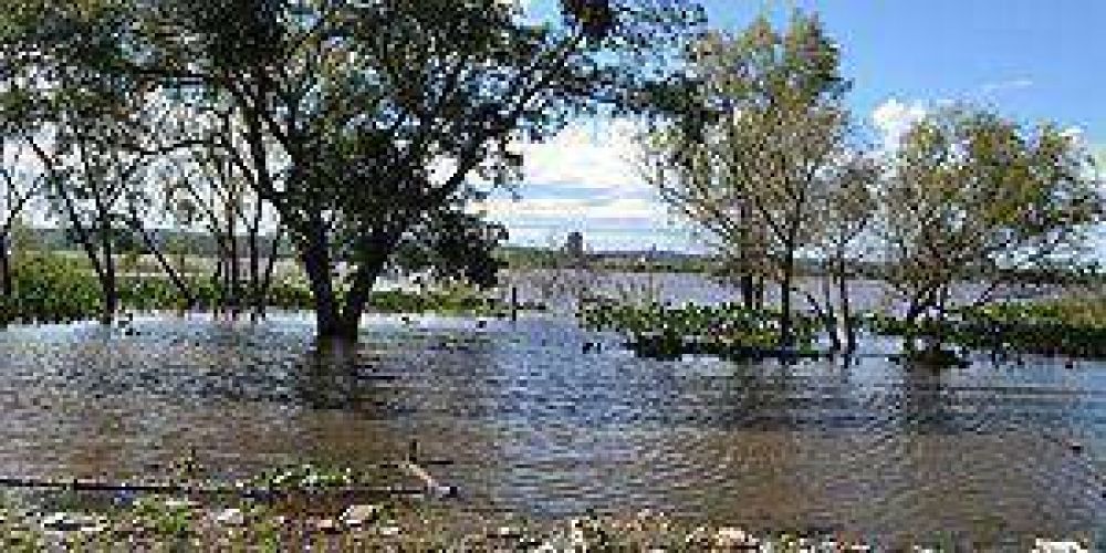 Etapa de Alerta: El r�o alcanz� los 5,35 metros en Puerto Pilcomayo