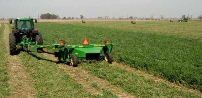 Buscan multiplicar las hect�reas con forraje en el sur