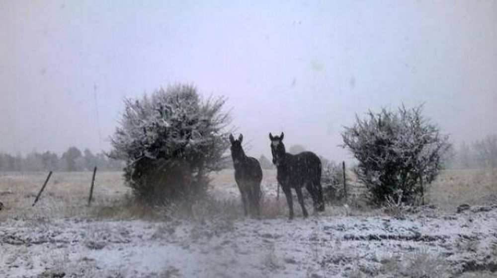 Lleg� la primera nevada del a�o a Tafi del Valle