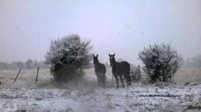 Lleg� la primera nevada del a�o a Tafi del Valle