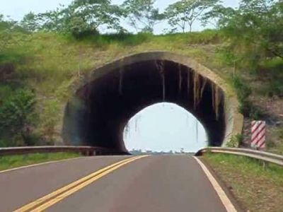 Presentaron proyecto de conectividad ambiental