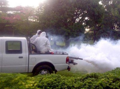Confirman dos casos de dengue de rosarinos que viajaron a Brasil