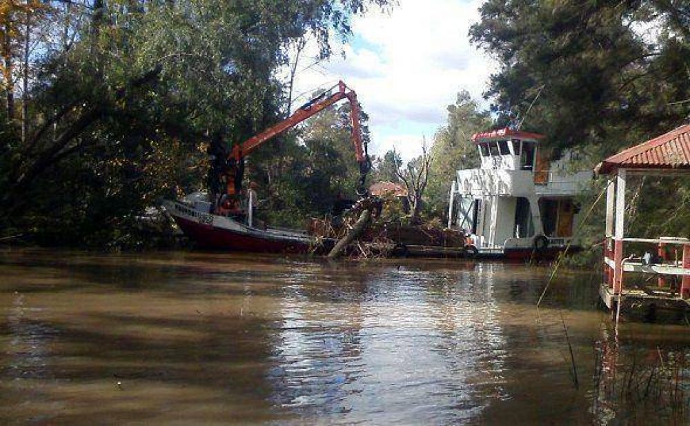 Tareas de destronque en el Delta