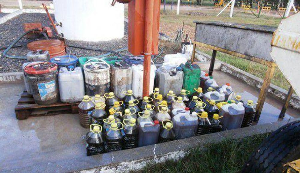 Recolectaron m�s de 400 litros de aceite para biodiesel