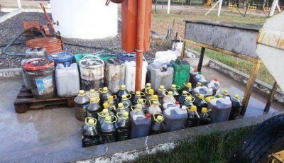 Recolectaron m�s de 400 litros de aceite para biodiesel
