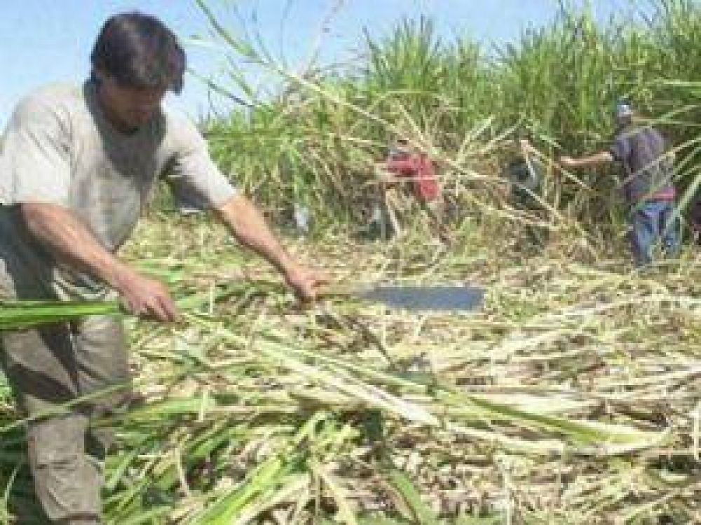 Intentan frenar el paro de trabajadores azucareros
