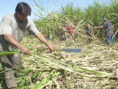 Intentan frenar el paro de trabajadores azucareros