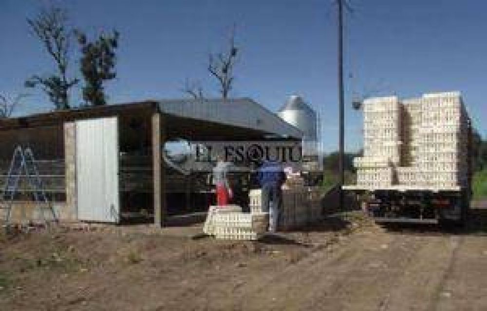 Fuerte impulso al sector av�cola