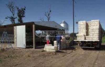 Fuerte impulso al sector av�cola