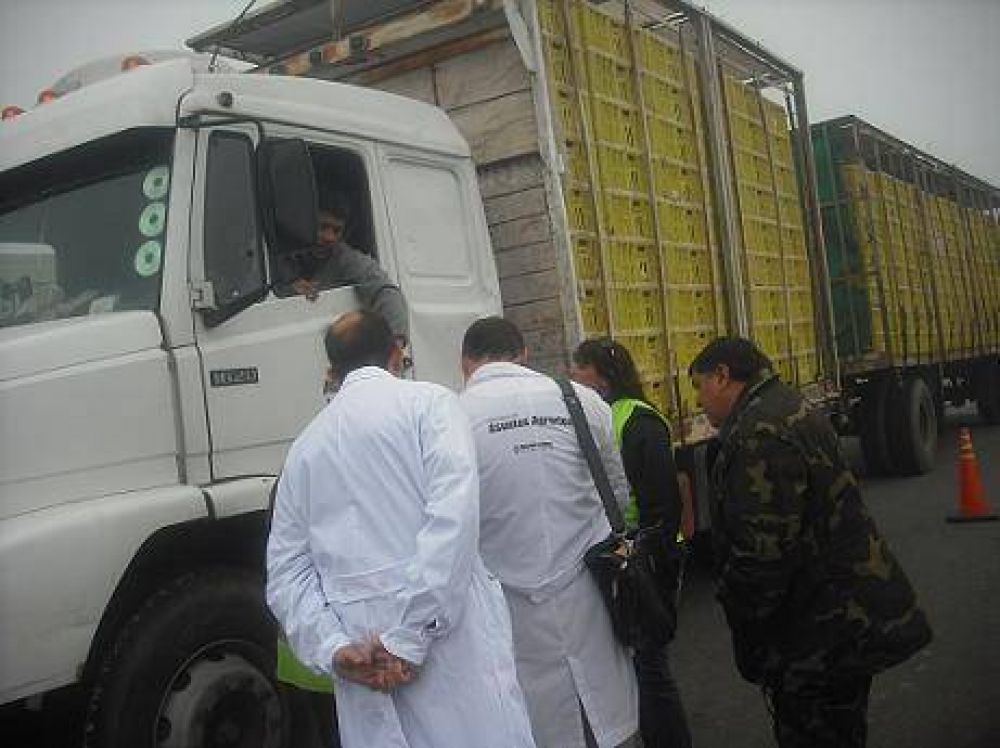 Secuestraron mercader�a con r�tulos adulterados de un frigor�fico de Bah�a Blanca