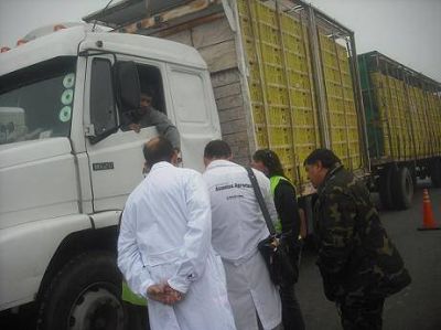 Secuestraron mercader�a con r�tulos adulterados de un frigor�fico de Bah�a Blanca
