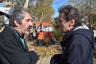 Gabriel Katopodis supervis� los trabajos de poda en San Andr�s