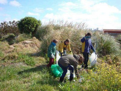 Alumnos universitarios organizan jornada de limpieza de la Reserva del Puerto