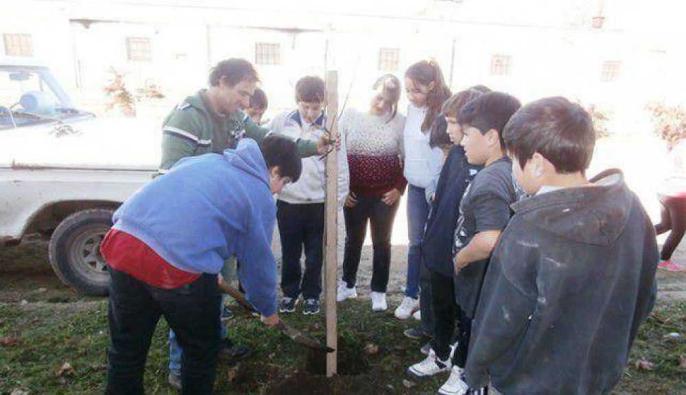 Continuaron las tareas de forestaci�n