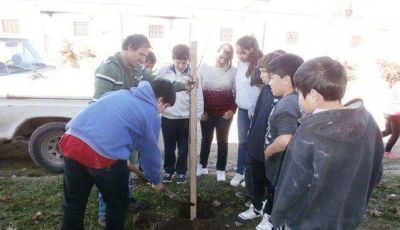 Continuaron las tareas de forestaci�n