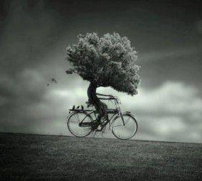 A pedalear de nuevo