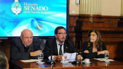 Guastavino llev� a la titular del STJ al debate por el C�digo Penal