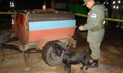 Secuestran m�s de 535 kilos de droga en el puente Belgrano