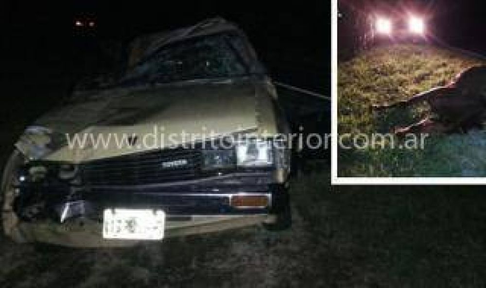 Ins�lito choque entre 6 veh�culos y 10 caballos en Coronel Pinto