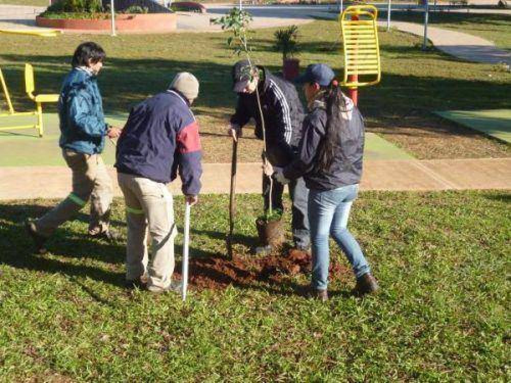 La Municipalidad est� reponiendo los plantines ornamentales en espacios p�blicos