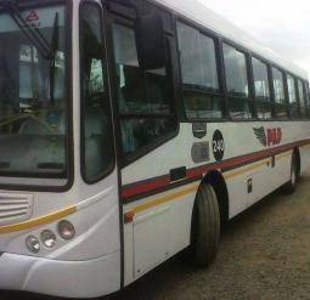 Una nueva empresa brindar� el servicio de colectivos urbano