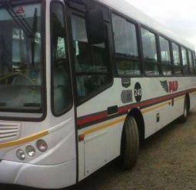 Una nueva empresa brindar� el servicio de colectivos urbano