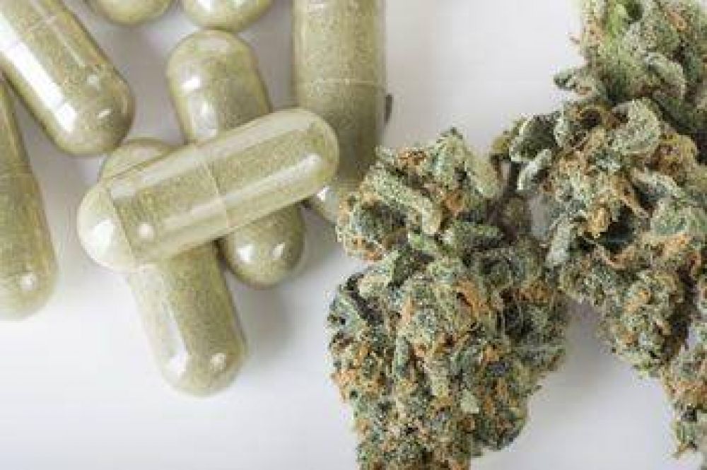 COMODORO: SECUESTRARON 8 KILOS DE MARIHUANA, $ 100 MIL Y DETUVIERON A 7 PERSONAS