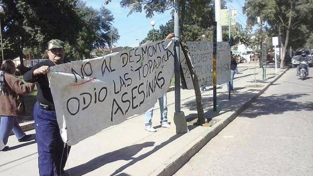 Vecinos re�nen firmas contra el desmonte en Saucelito, Or�n