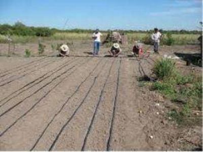 Entregar�n fondos a peque�os productores sanjuaninos por m�s de $3,2 millones
