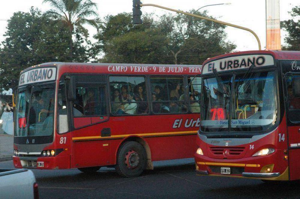 Adjudican l�neas del transporte p�blico