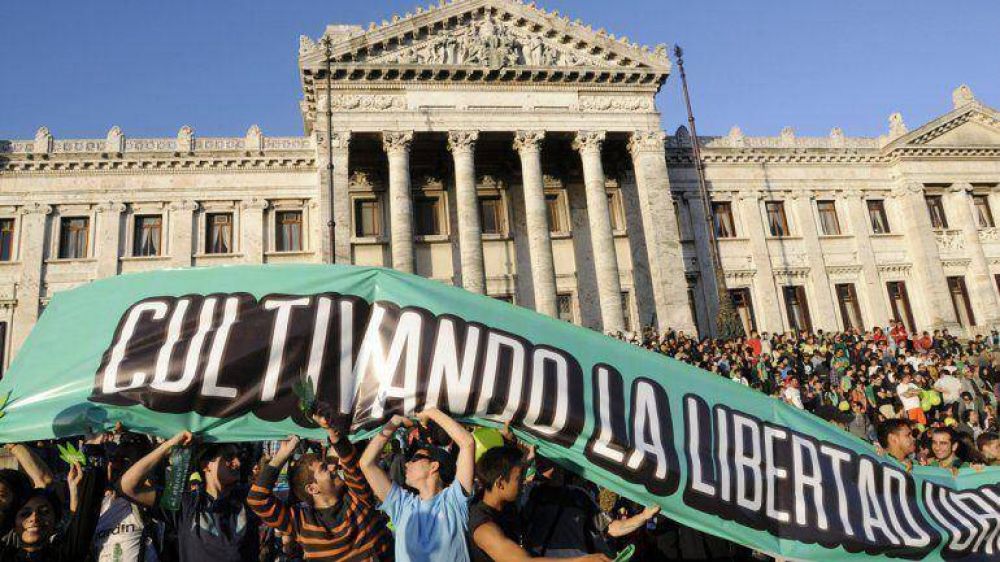 Uruguay: a pesar de la legalizaci�n, las incautaciones de marihuana son r�cord