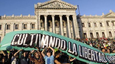 Uruguay: a pesar de la legalizaci�n, las incautaciones de marihuana son r�cord