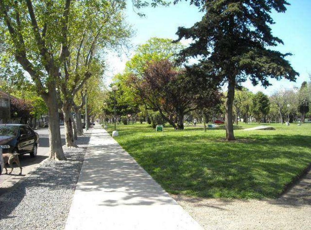 En banda: ocho menores asaltaron a un joven en Plaza Pueyrredon