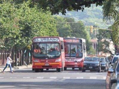 Proyectan nuevas bocas de expendio