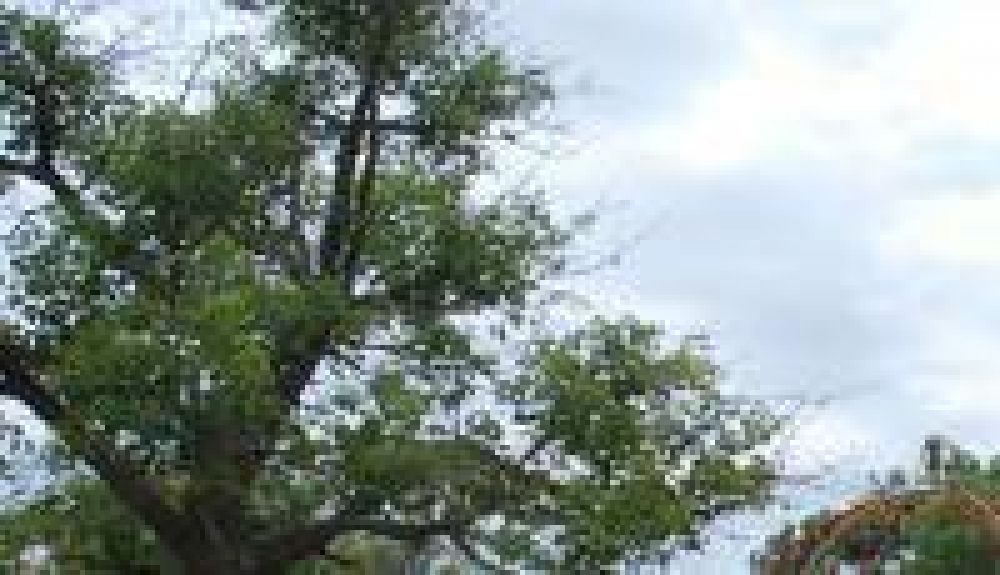 El Municipio pone en marcha diversas licitaciones de obras