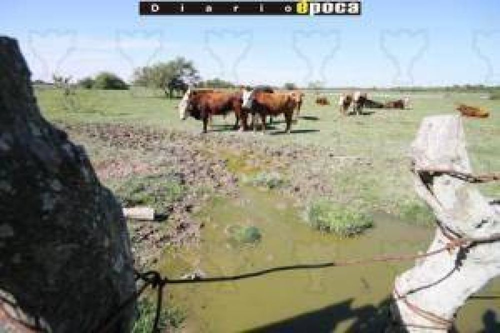 Sin lluvias, ganaderos s�lo hallan agua a 30 metros de profundidad