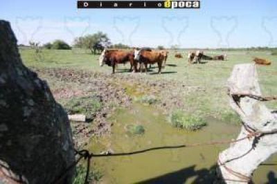 Sin lluvias, ganaderos s�lo hallan agua a 30 metros de profundidad