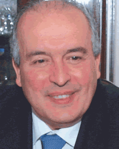 El PEN financiar� el proyeto de las peatonales