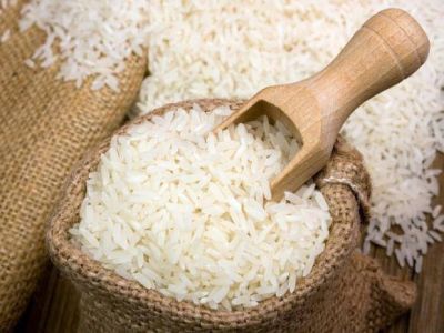 Vara destac� el avance de la producci�n de arroz en Corrientes