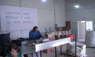 Actividades por el d�a mundial del medio ambiente