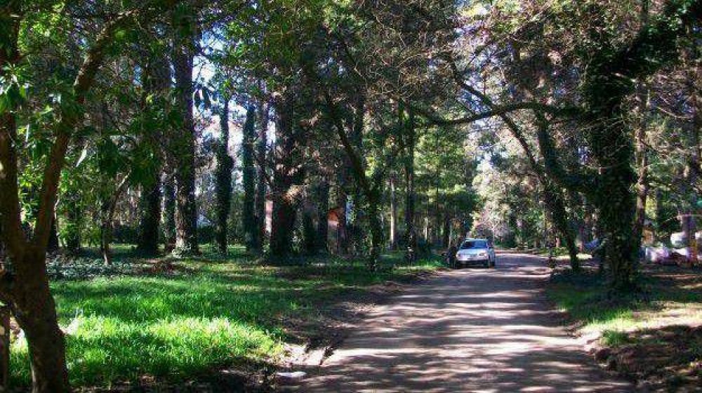 Solicitan obras para evitar inundaciones en Bosque Peralta Ramos