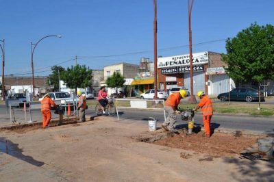 Avanzan las tareas de puesta en valor de Avenida Pe�aloza