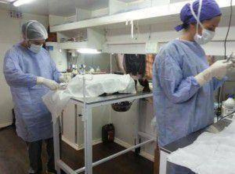 Unas 118 castraciones realiz� en Garup� y Bonpland el quir�fano m�vil para mascotas