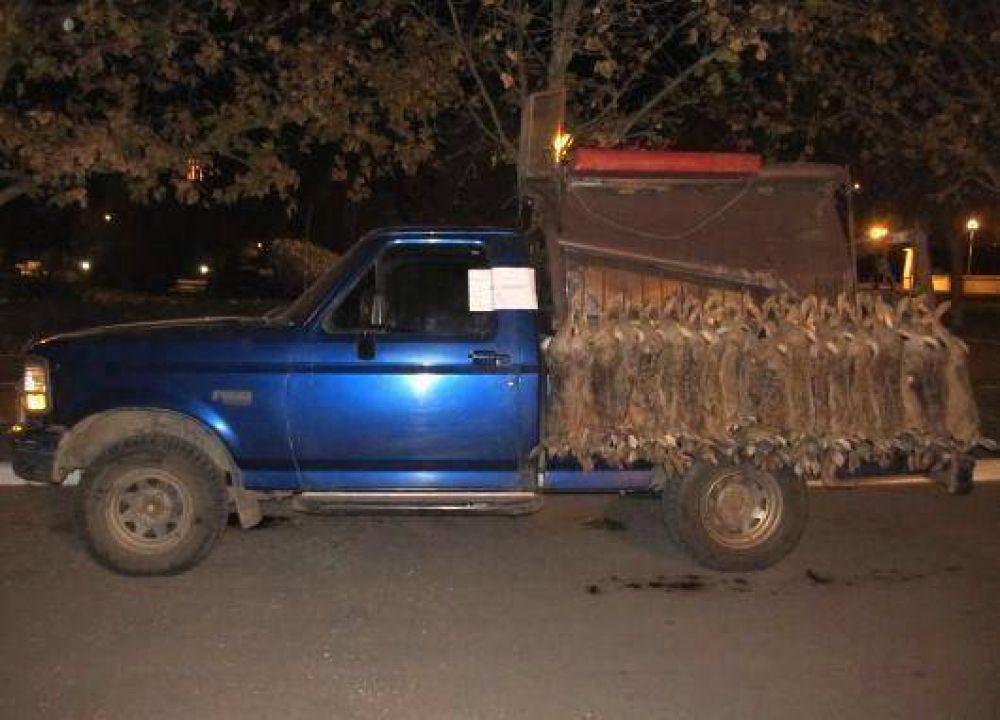 Polic�as demoraron a cuatro cazadores de liebres