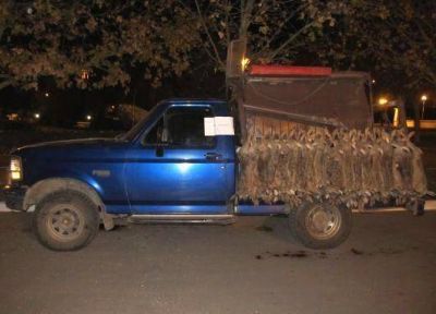 Polic�as demoraron a cuatro cazadores de liebres