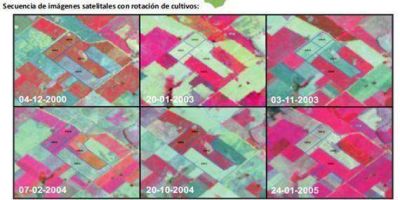 La Cooperativa ALFA ofrece agricultura de precisi�n