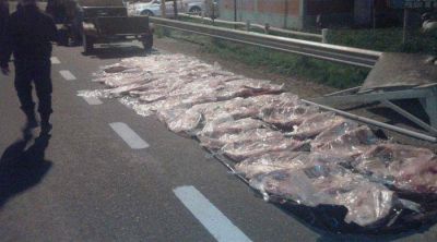 La polic�a de R�o Negro secuestr� costillares procedentes de Bah�a