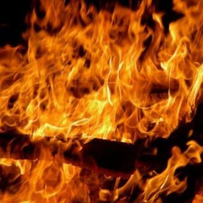 Los Palacios: Por lo menos 15 cerdos muertos ante incendios forestales